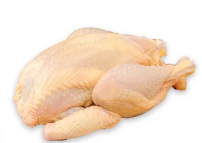 cung cấp thịt gà tươi sạch, chất lượng giá rẻ tại TP HCM